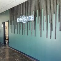 Embrace Esthetics + Med Spa ico