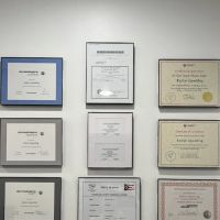 Elated Esthetics ico