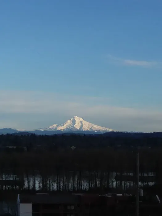 Lisha Esthetics PDX Picture 6