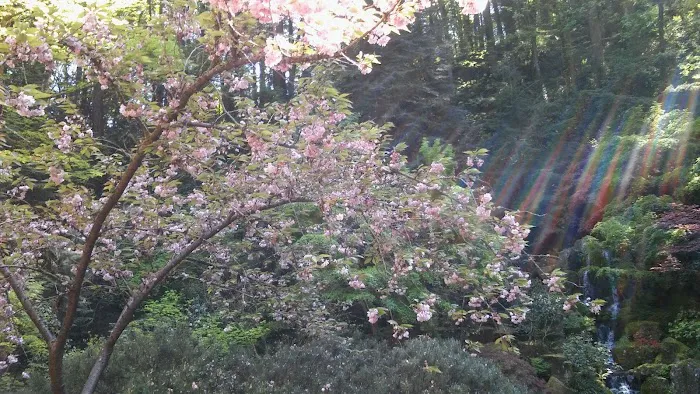 Skin By Samantha Picture 9