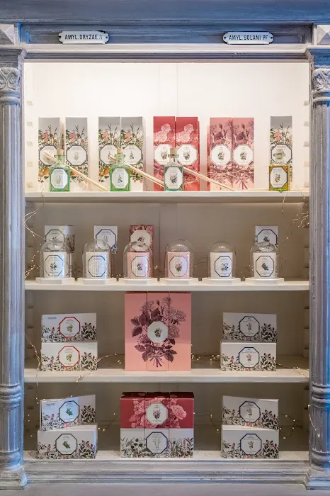 Bellini's Skin & Parfumerie Picture 6