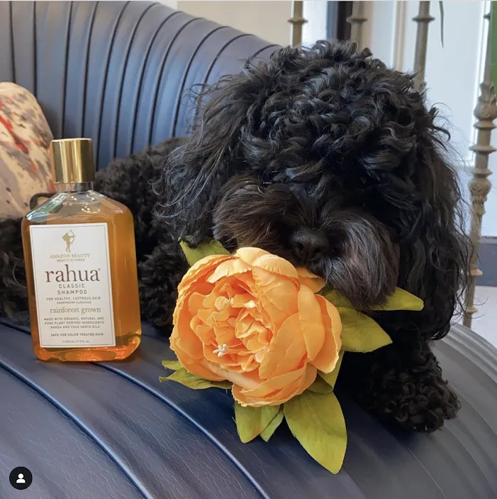 Bellini's Skin & Parfumerie Picture 10