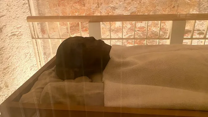 Lisa G Skincare Picture 9