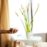 Wholeness Face And Body ico