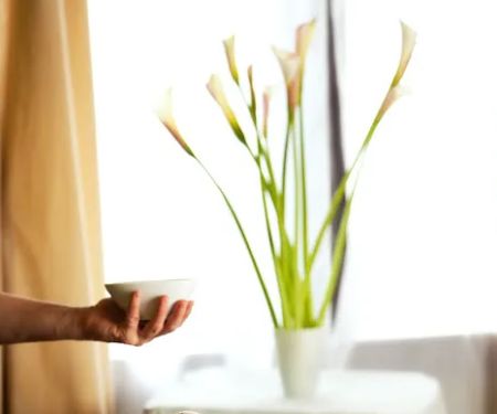 Wholeness Face And Body