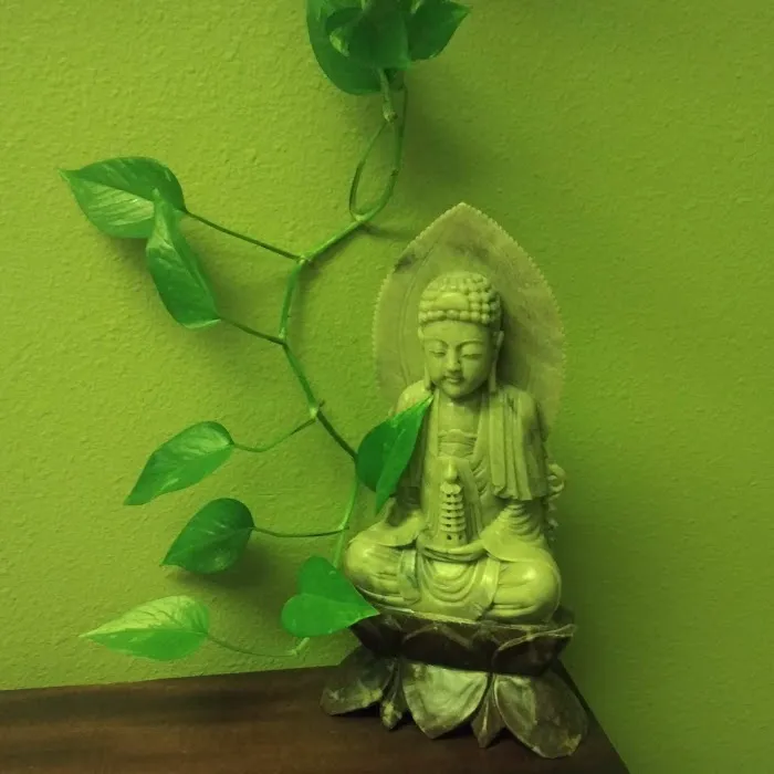 Wholeness Face And Body Picture 5