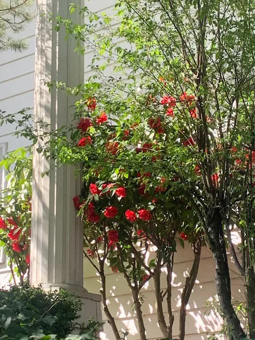 The Face Place Picture 6