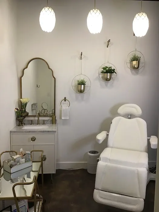 Plush Botox Bar Picture 2