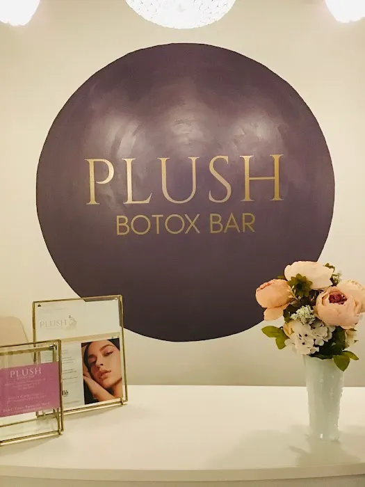 Plush Botox Bar Picture 4