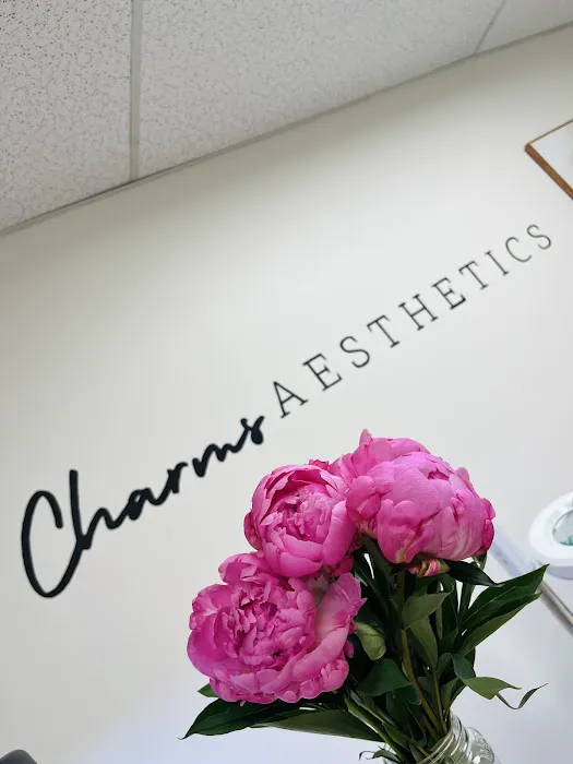 Charm's Aesthetics, LLC Picture 3