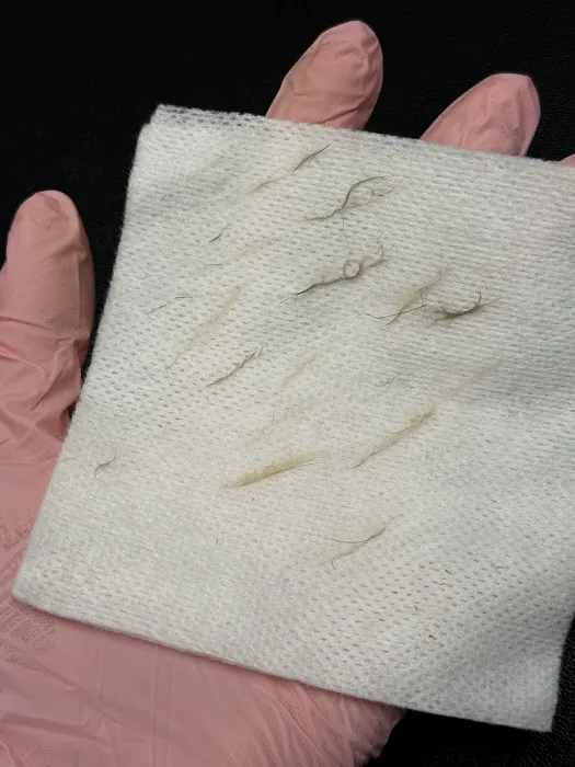 Skin + Beauty by Audrianna Picture 6