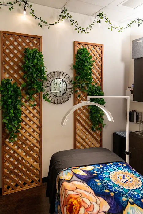 The Fern Grove Spa Picture 2