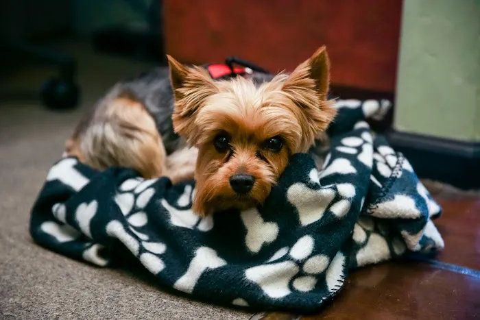 Detox Therapy Picture 5