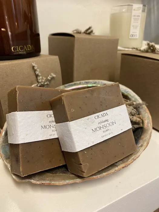 Beauty By Bonnie- Esthetician Picture 8