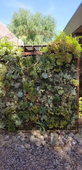 Canyon Ranch Aesthetics Picture 1