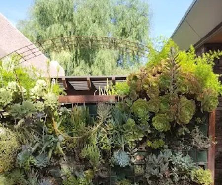 Canyon Ranch Aesthetics