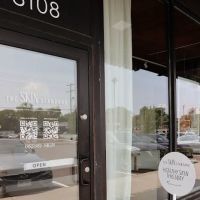 The Skin Standard ico