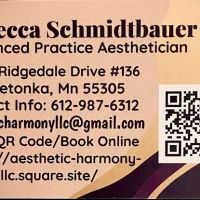 Aesthetic Harmony LLC ico