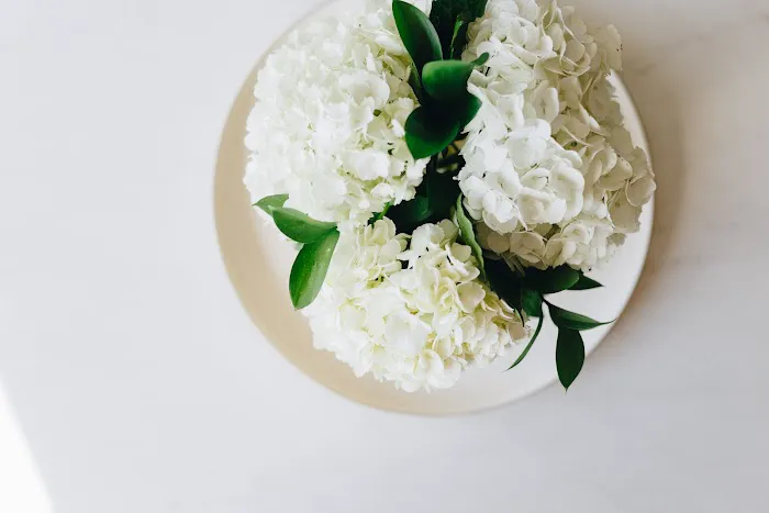 aesthetic skin studio Picture 1