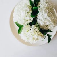 aesthetic skin studio ico