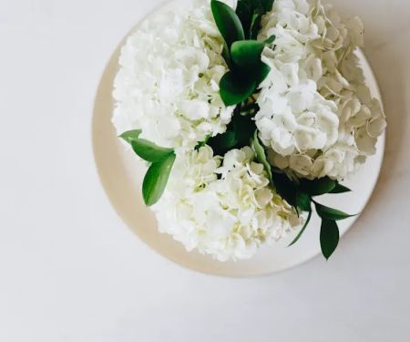 aesthetic skin studio