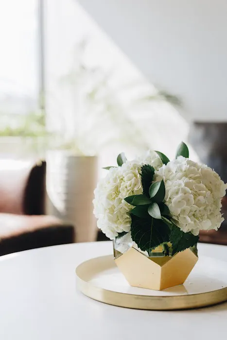 aesthetic skin studio Picture 5