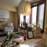 Bunny and Baba Esthetics