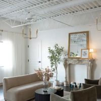 The Skyn Distillery ico