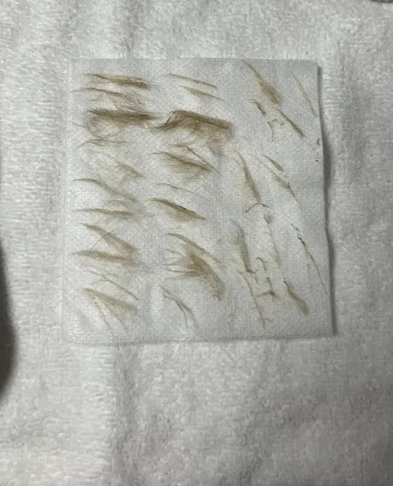 Esthetics by Shelby Picture 8