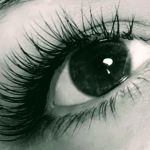 The Orchid Room ~ SKIN.WAX.LASH