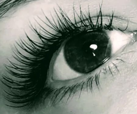 The Orchid Room ~ SKIN.WAX.LASH