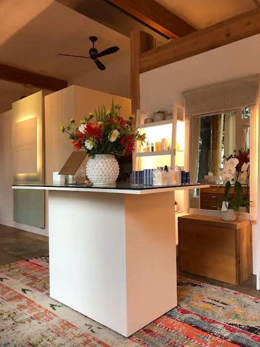 Light + Space Picture 6