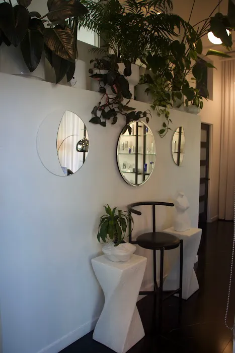 Sapien Skin and Beauty Picture 3