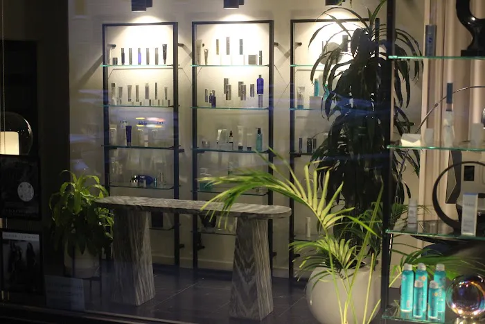 Sapien Skin and Beauty Picture 6