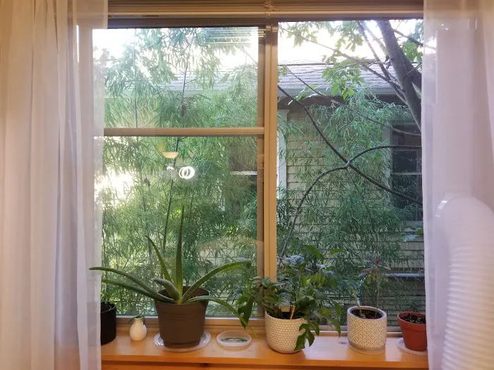 Lähde Skin Studio Picture 5