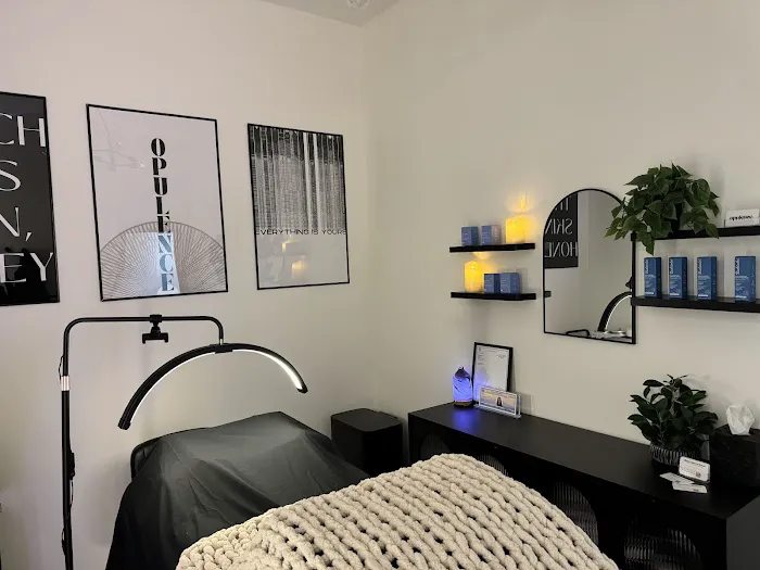 Opulence Beauty Picture 2