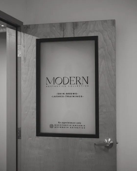 Modern Aesthetics Collective Picture 2