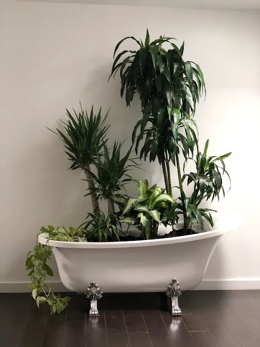 Golden Bubble Skin Picture 3