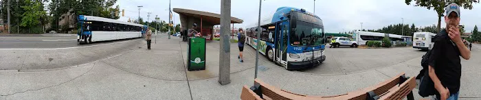 Ci Elo LLC Picture 2