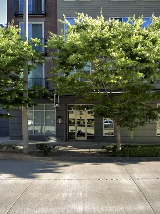 Esthetic Society Picture 1