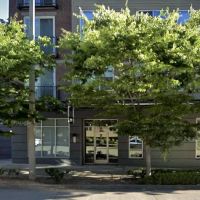 Esthetic Society ico