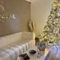 Shinique Esthetics ico