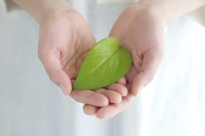 Amy's Skin Care- Eminence Organic Skin Care Facials Picture 3