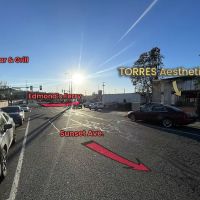 TORRES Aesthetics ico