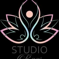Studio Raar ico