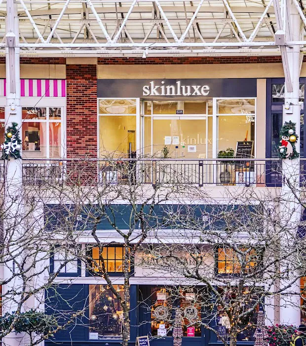 Skinluxe Browbar Picture 9