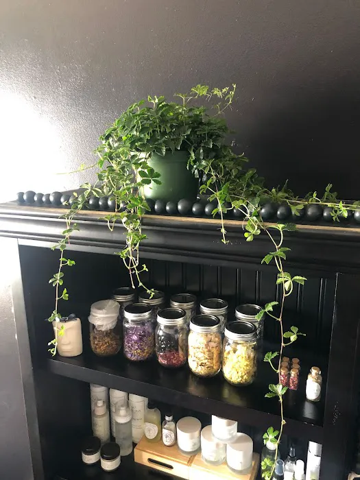 Paloma Skin Society Picture 3