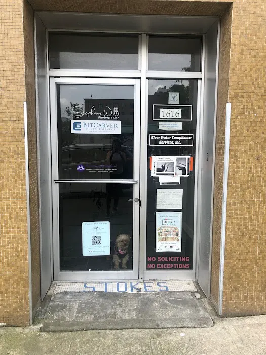 Paloma Skin Society Picture 9