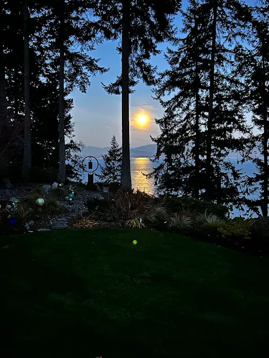 Wild Woman Esthetics, LLC Picture 7