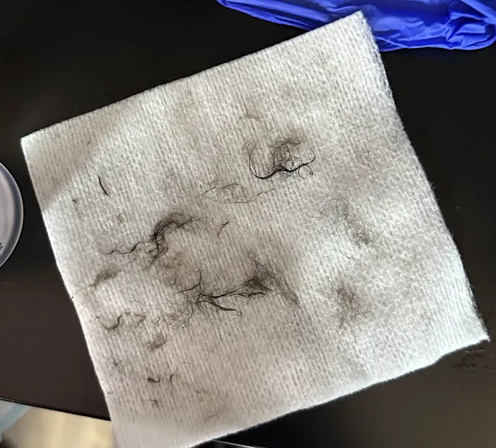 Jewells Beauty Studio Picture 7